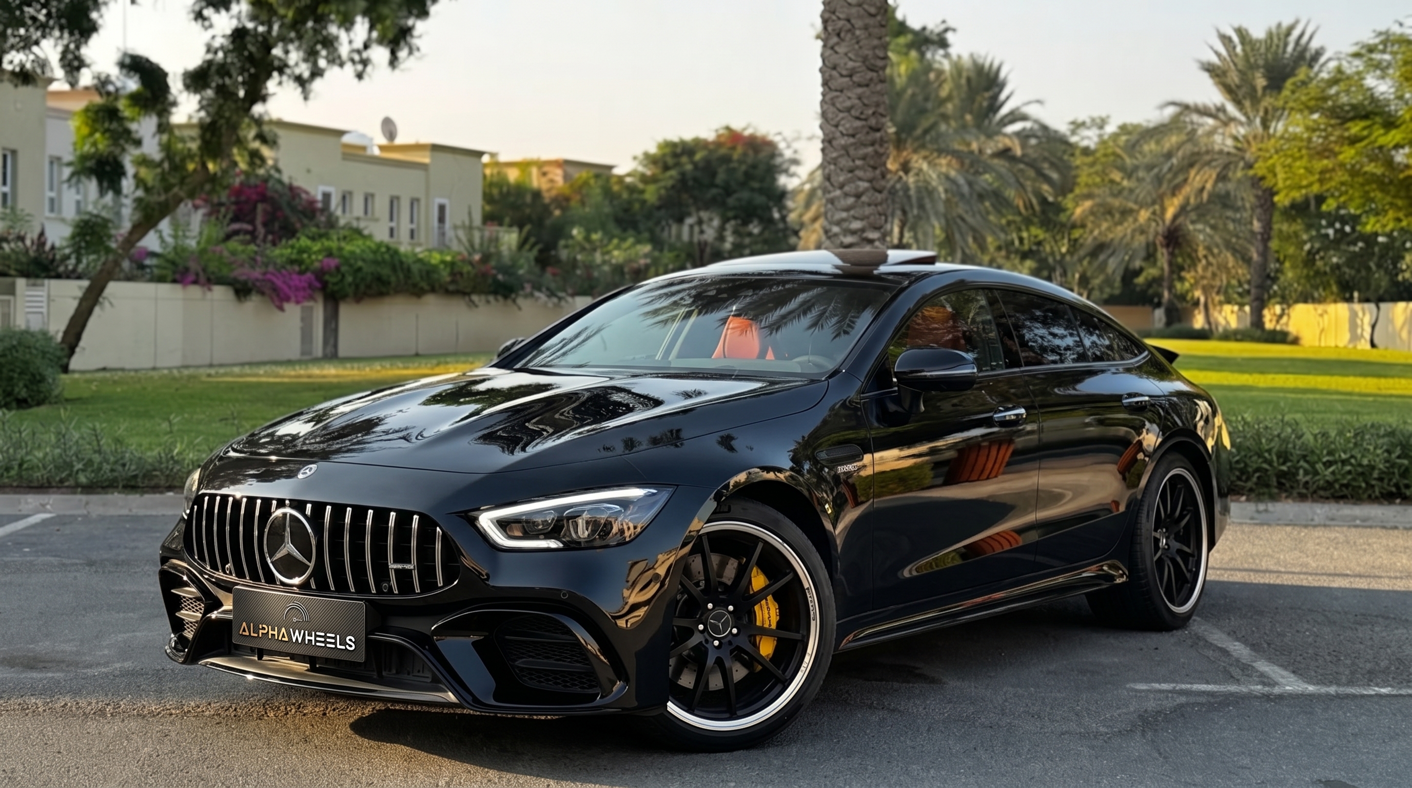 Alpha Black Car